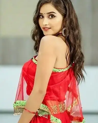 Call Girls Service Vinukonda
